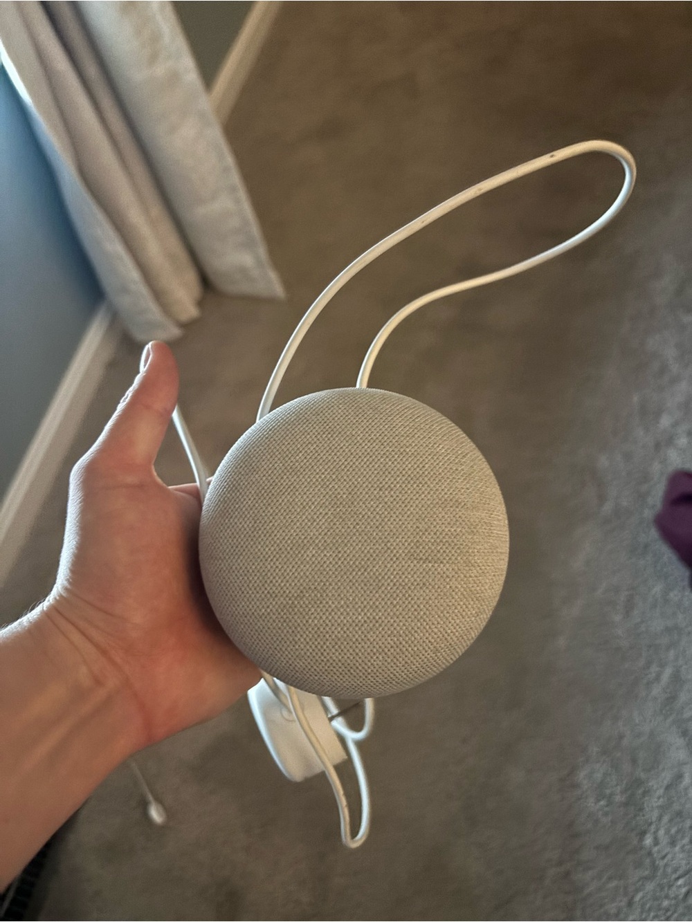 Google home with Light Gray Fabric